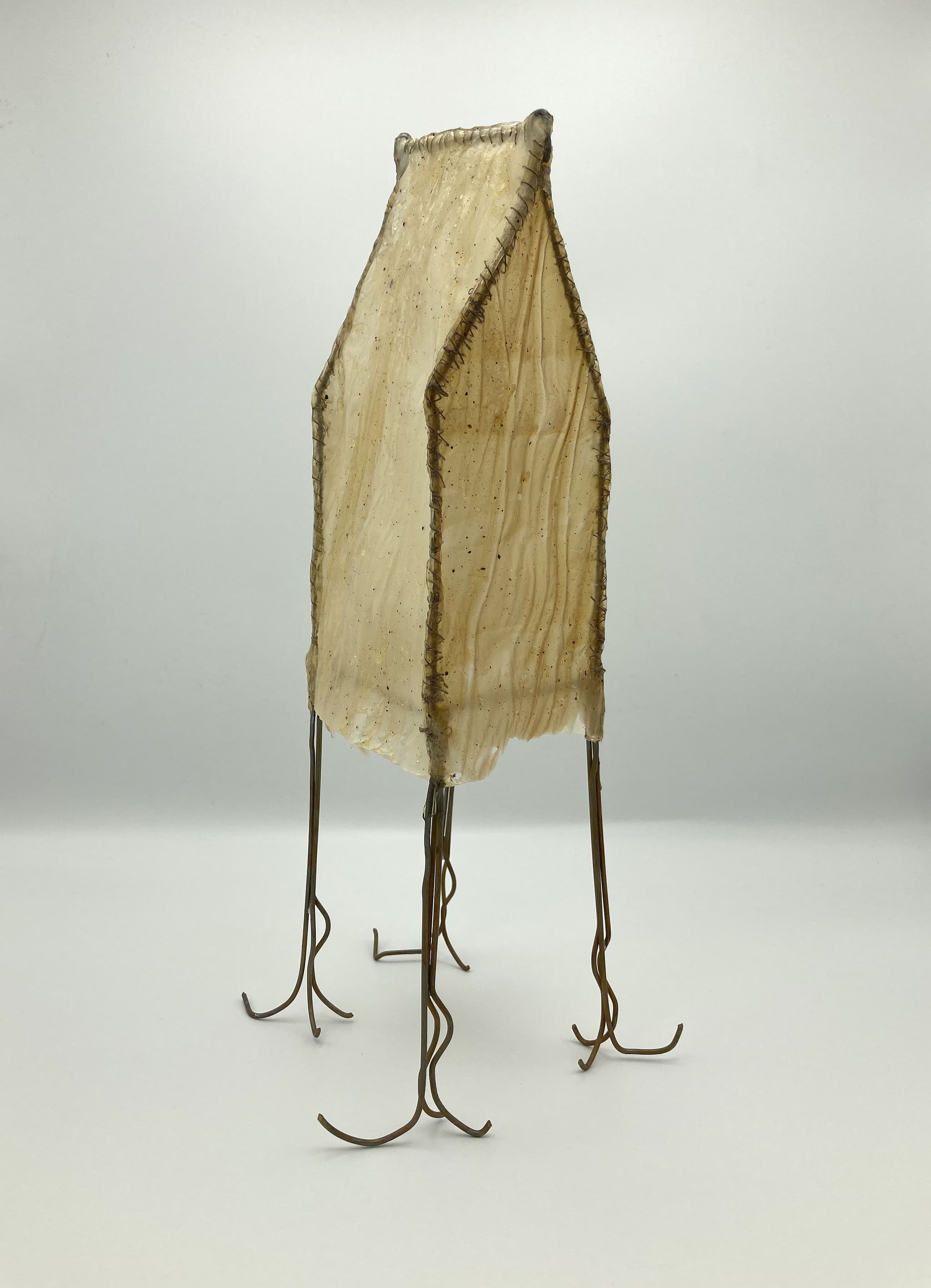 Geografie del divenire ("Geographies of becoming") by Davide Viggiano (Oxidised aluminum, silk cord and biobased