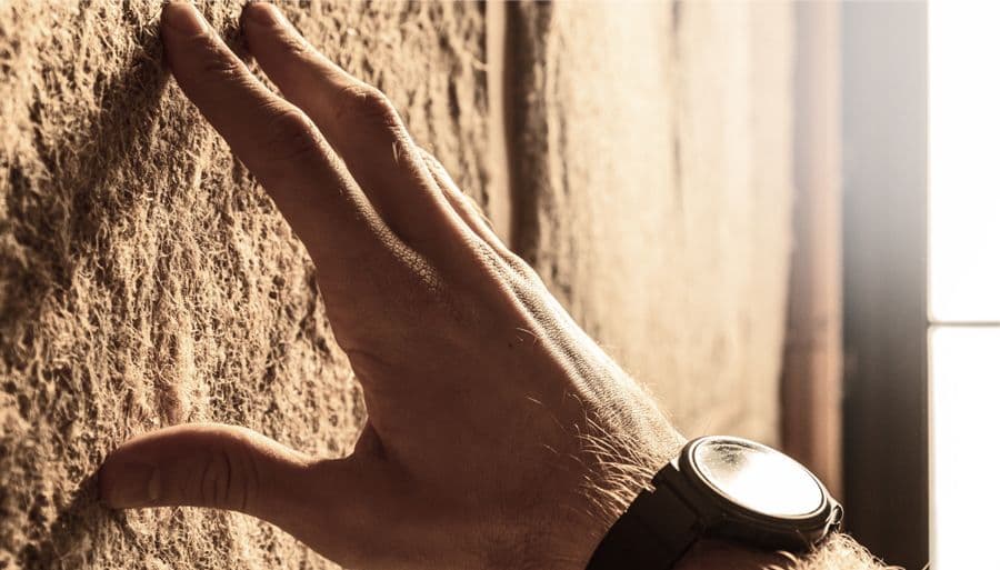 From Field to Panel: How Hempitecture Transforms Hemp into the Future of Building