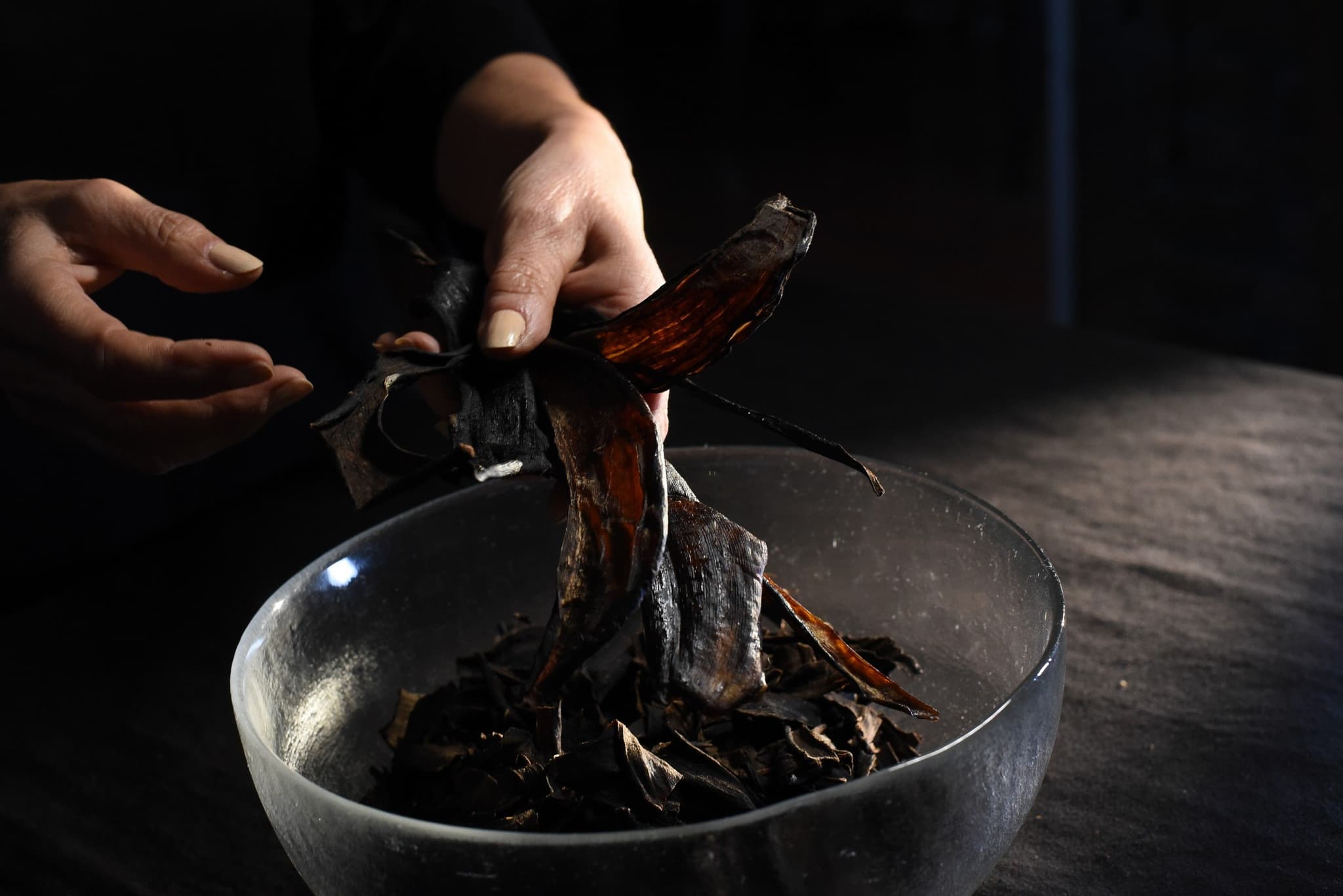 "Biomaterials, in different versions, are produced to last perhaps 5 years, perhaps 100, but after that time, they will become fertile land."