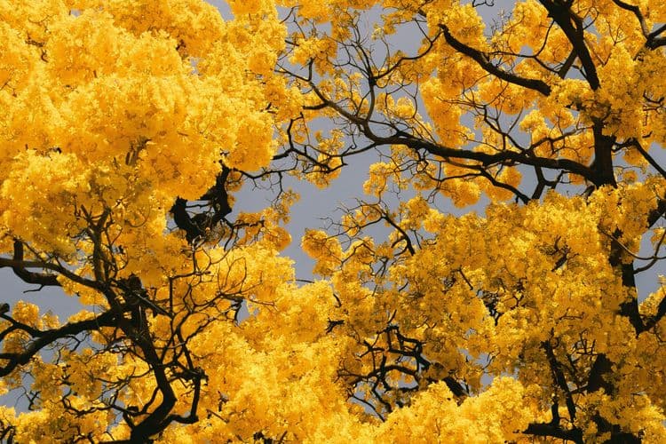 Tocco Report: Tocco 2026 Color Guide