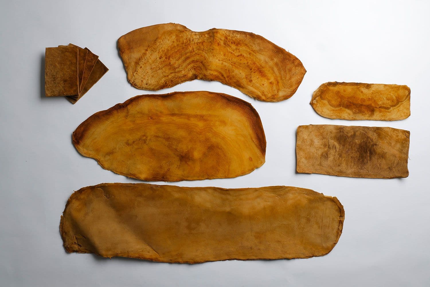 Parasitic fungus as leather: the story of MuSkin