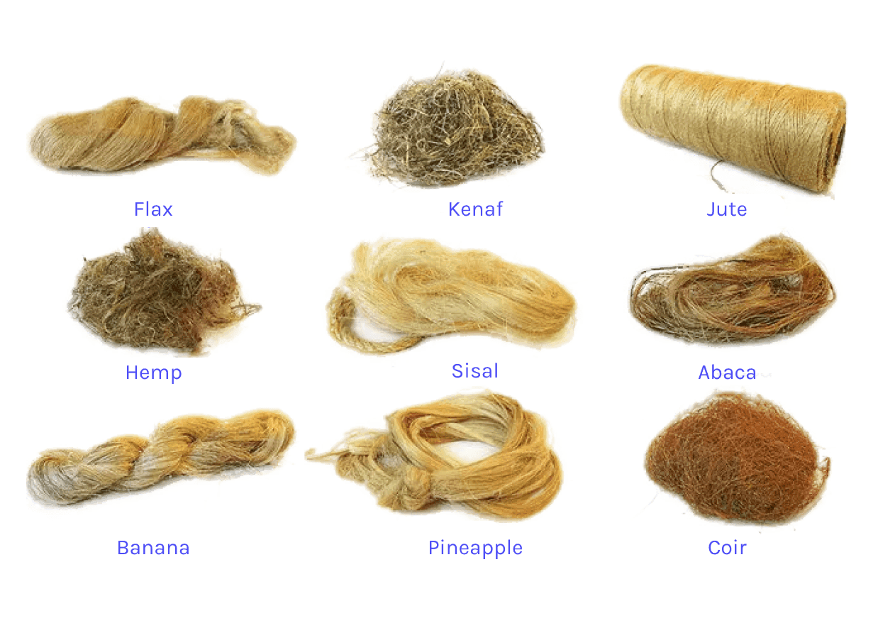 Different types of natural fibers (Source)