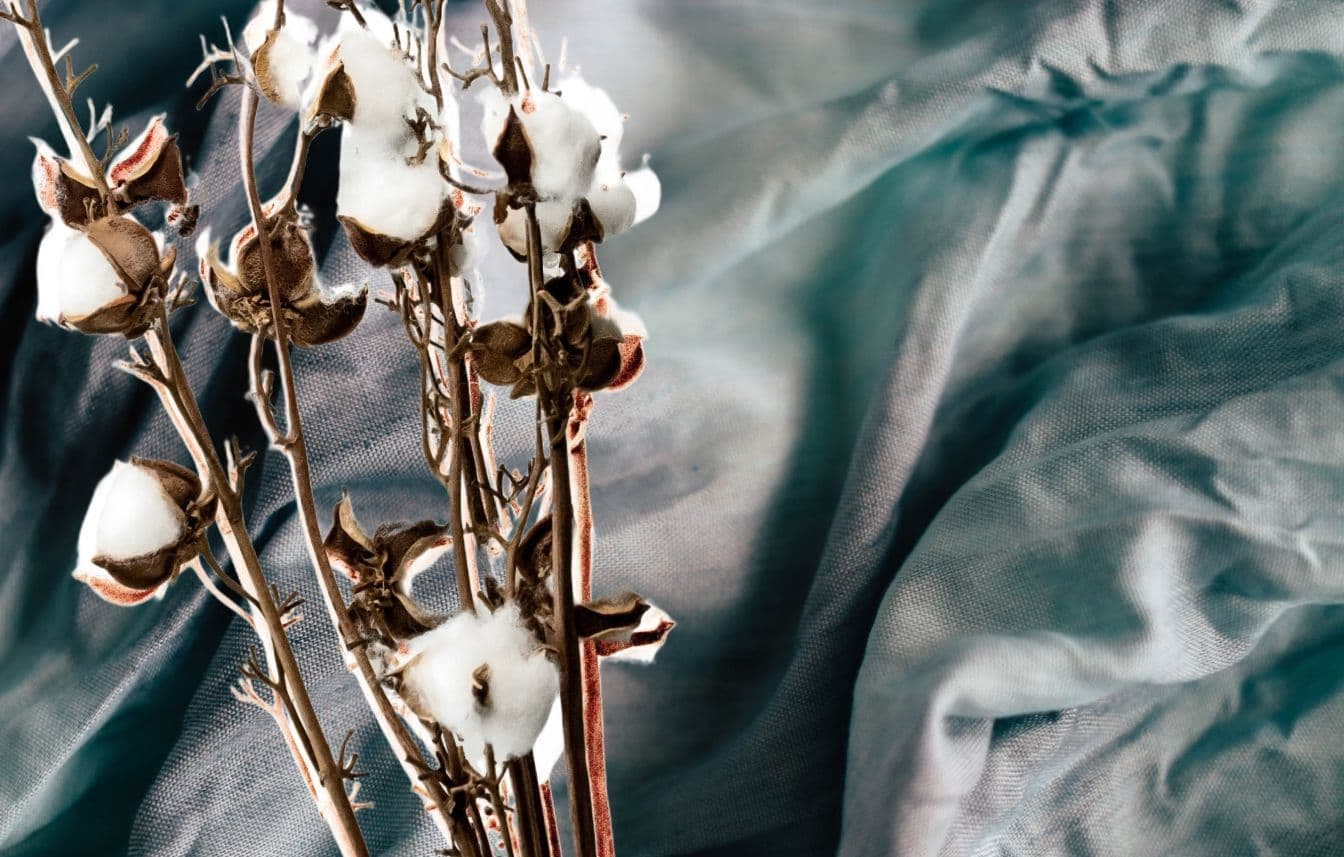 Time to transition towards non-toxic and low-carbon fibers?