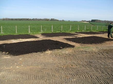 Angelo believes in testing new solutions and merging nature with architecture.