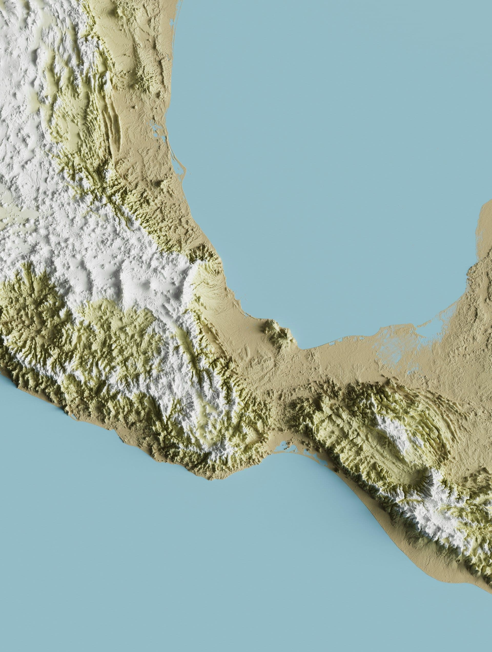 Biomimicry in Practice: The 7 Principles Guiding Sustainable Material Innovations