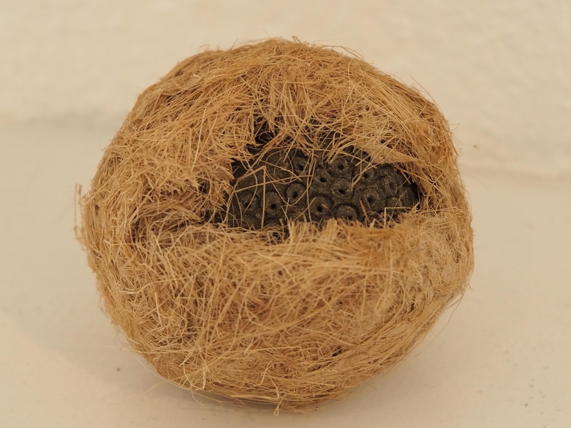 Poetry of Togetherness by Anna Handick