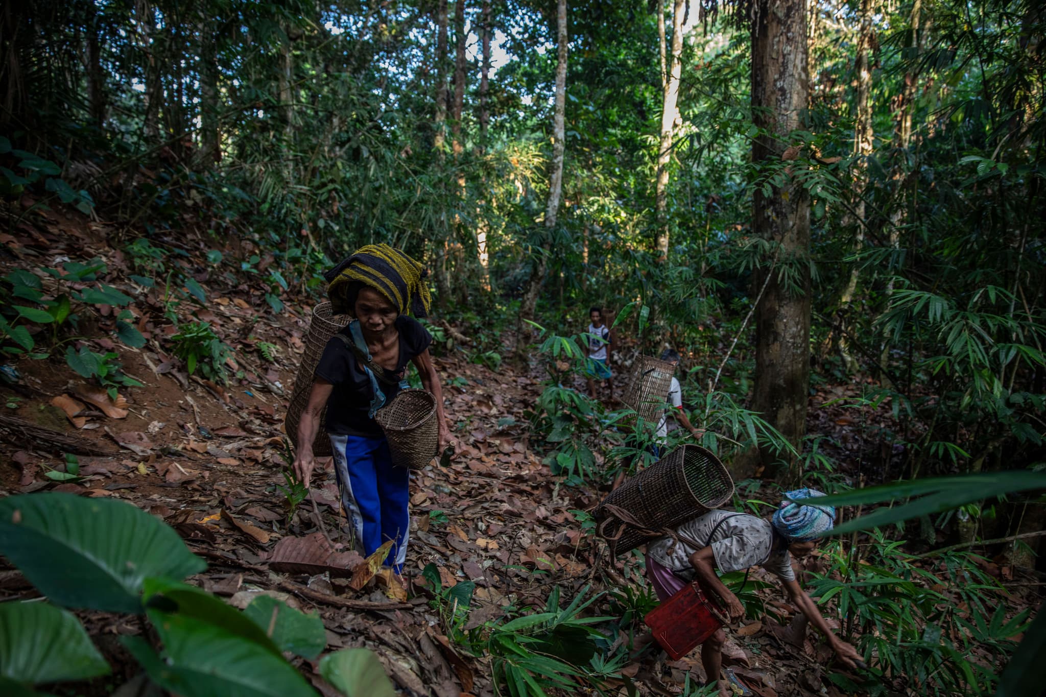 We were able to make agreements with six villages, with a combined forest area of 36,000 hectares, to protect these trees as long as we were purchasing the illipe nuts from them.