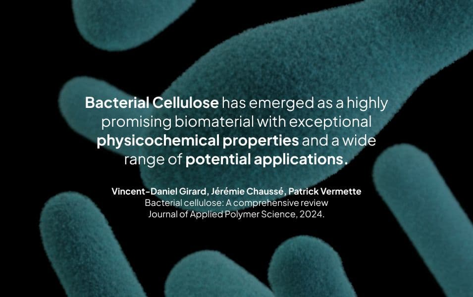 Black rubber material