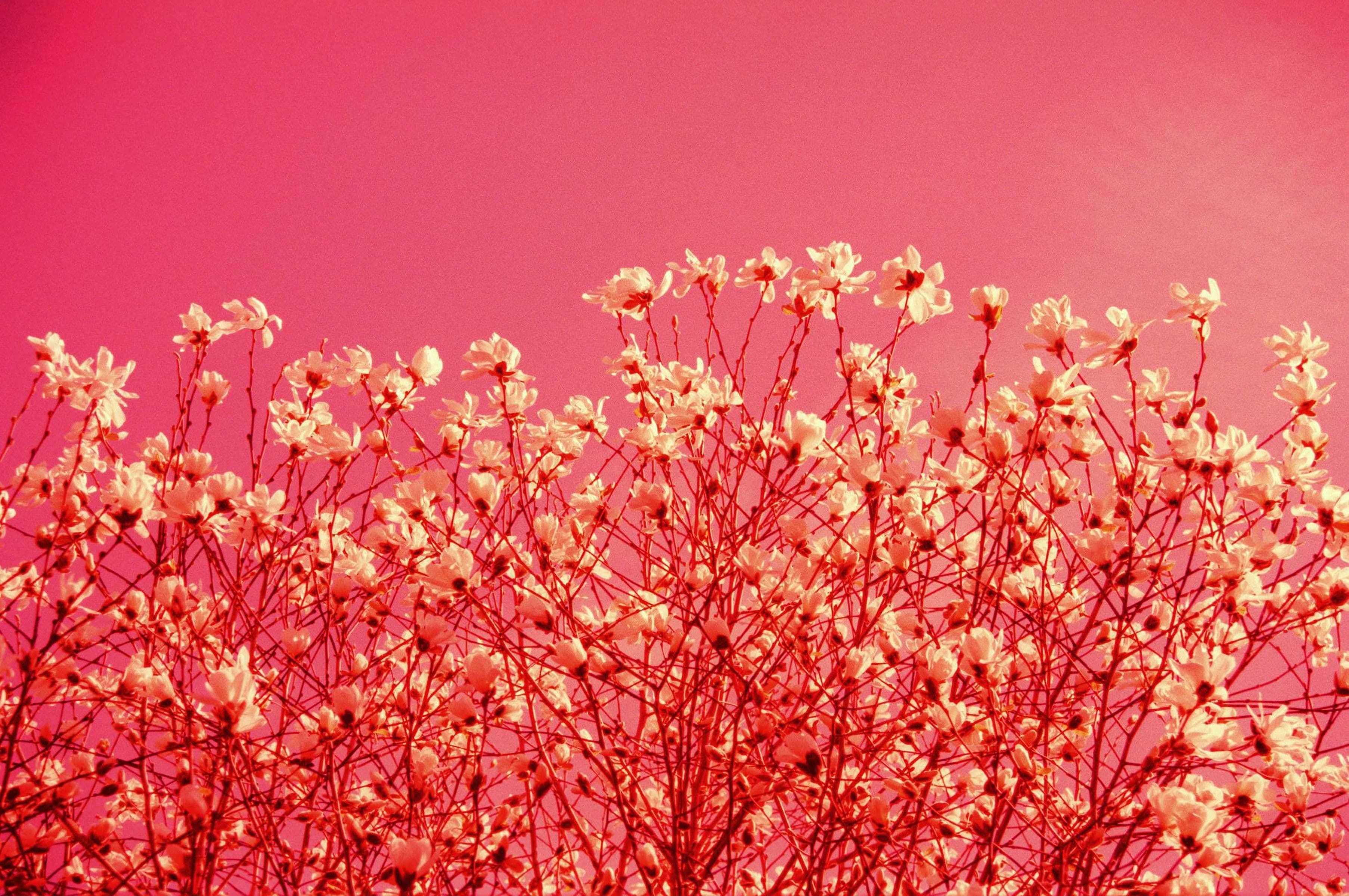 Regenerative designs: the why and how