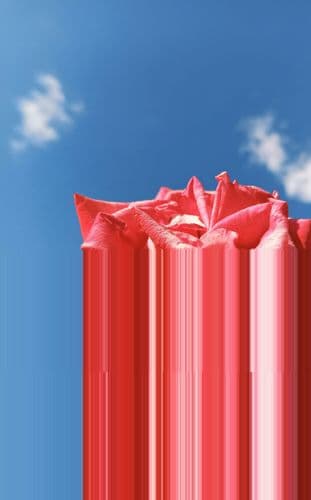 5 Red Flags Hiding in Your “Sustainable” Packaging Story