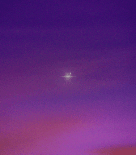 Tocco Report: The Global Packaging Compliance Handbook for 2026