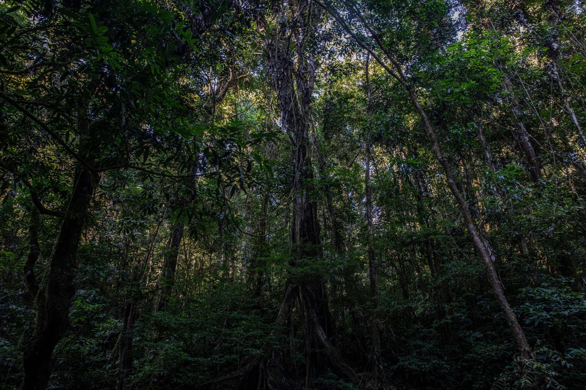 We should instead push products that are produced in such a way that they have no negative effect on the environment, but actually the other way around, in a way that could enrich the soil and increase biodiversity.