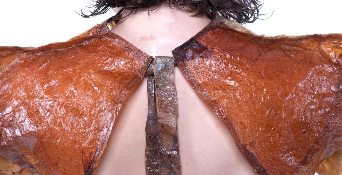 Biodesign in the Balkans: Fermenting Change with Maja Halilovic